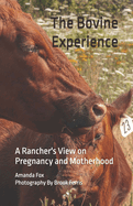 The Bovine Experience: A Rancher's View on Pregnancy and Motherhood