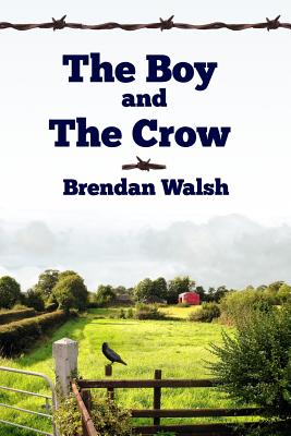 The Boy and the Crow - Walsh, Brendan