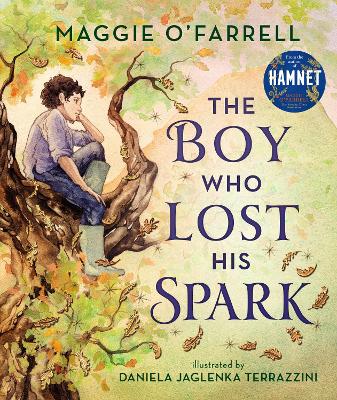 The Boy Who Lost His Spark - O'Farrell, Maggie