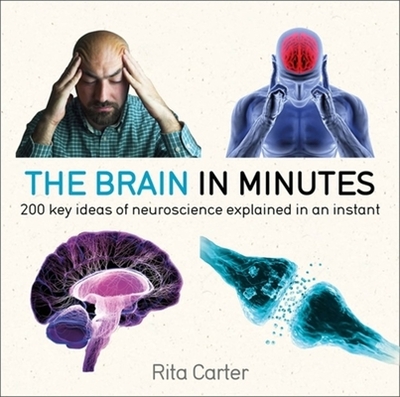 The Brain in Minutes - Carter, Rita