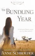The Bundling Year: A Non-Traditional Contemporary Amish Romance