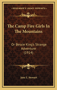 The Camp Fire Girls in the Mountains: Or Bessie King's Strange Adventure (1914)