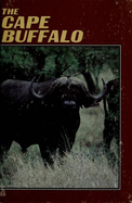 The Cape Buffalo