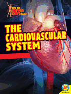 The Cardiovascular System