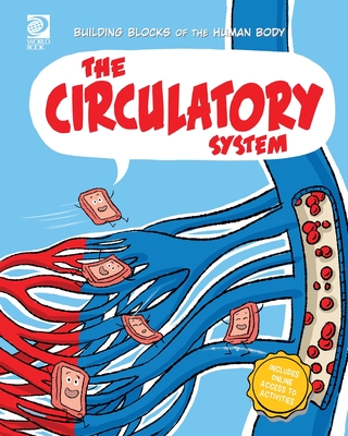 The Circulatory System - Midthun, Joseph