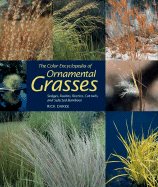 The Colour Encyclopedia of Ornamental Grasses: Sedges, Rushes, Restios, Cat-tails and Selected Bamboos - Darke, Rick