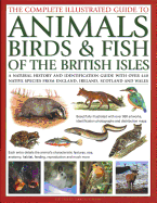 The Complete Illustrated Guide to Animals, Birds & Fish of the British Isles: A Natural History and Identification Guide with Over 440 Native Species from England, Ireland, Scotland and Wales, Beautifully Illustrated with Over 950 Artworks