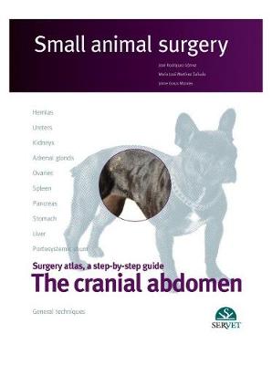 The cranial abdomen. Small animal surgery - Rodrguez, Jos