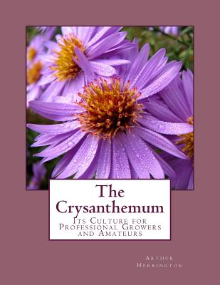 The Crysanthemum: Its Culture for Professional Growers and Amateurs - Herrington, Arthur, and Chambers, Roger (Introduction by)