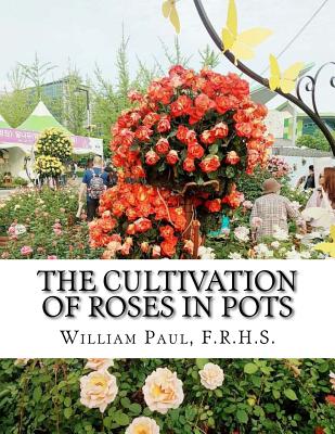 The Cultivation of Roses in Pots: Or; Growing Roses in Containers - Chambers, Roger (Introduction by), and Paul, F R H S William