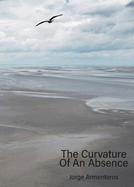 The Curvature of An Absence