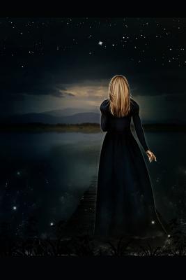 The Darkened Path: The Journey Begins - Phillips, S M