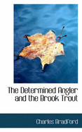 The Determined Angler and the Brook Trout