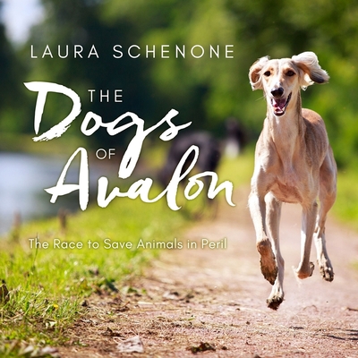 The Dogs of Avalon: The Race to Save Animals in Peril - Schenone, Laura, and Wane, Esther (Read by)