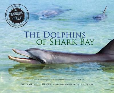 The Dolphins of Shark Bay - Turner, Pamela S