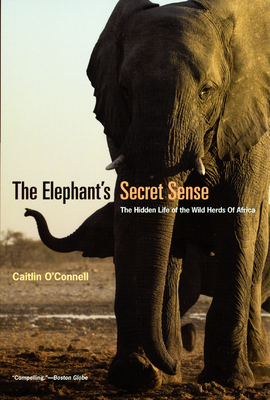 The Elephant's Secret Sense: The Hidden Life of the Wild Herds of Africa - O'Connell, Caitlin