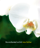 The Enchanted Orchid