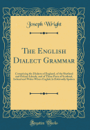 The English Dialect Grammar: Comprising the Dialects of England, of the Shetland and Orkney Islands, and of Those Parts of Scotland, Ireland and Wales Where English Is Habitually Spoken (Classic Reprint)