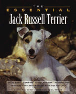 The Essential Jack Russell Terrier