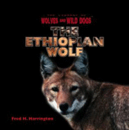 The Ethiopian Wolf - Harrington, Fred H