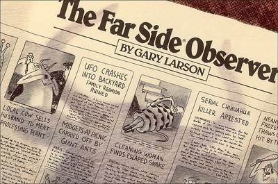 The Far Side(r) Observer - Larson, Gary