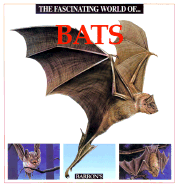 The Fascinating World of Bats