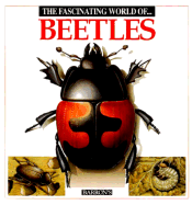 The Fascinating World of Beetles - Julivert, Maria Angels, and Marcel Socias Studio (Illustrator), and Arridondo, F (Illustrator)