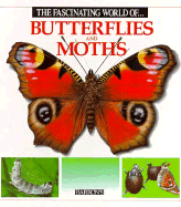 The Fascinating World of Butterflies
