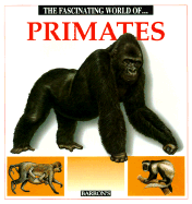 The Fascinating World of Primates - Julivert, Maria Angels, and Arridondo, F (Illustrator), and Marcel Socias Studios (Illustrator)
