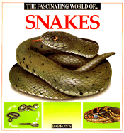 The Fascinating World of Snakes - Julivert, Maria Angels, and Julivert, Angels, and Parramon, Jose Maria (Producer)