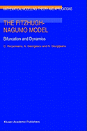 The Fitzhugh-Nagumo Model: Bifurcation and Dynamics