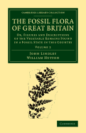 The Fossil Flora of Great Britain: Or, Figures and Descriptions of the Vegetable Remains Found in a Fossil State in this Country - Lindley, John, and Hutton, William