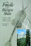 The Fossils of the Burgess Shale