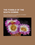 The Fossils of the South Downs: Or Illustrations of the Geology of Sussex