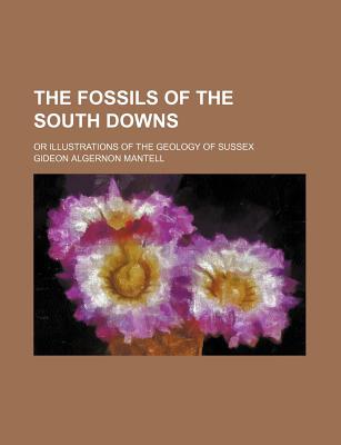 The Fossils of the South Downs: Or Illustrations of the Geology of Sussex - Mantell, Gideon Algernon