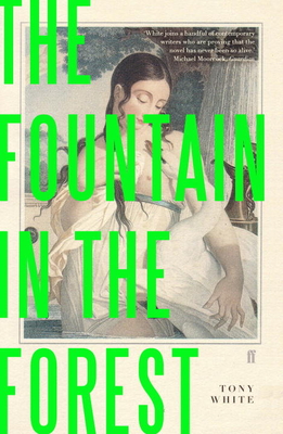 The Fountain in the Forest - White, Tony