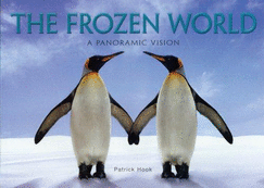 The Frozen World: A Panoramic Vision