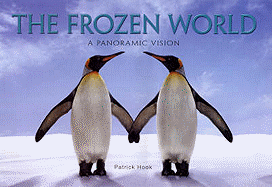 The Frozen World: A Panoramic Vision