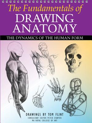 The Fundamentals of Drawing Anatomy: The Dynamics of the Human Form - Stanyer, Peter (Editor)