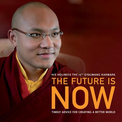 The Future Is Now: Timely Advice for Creating a Better World - Trinley Dorje, Ogyen