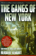 The Gangs of New York: An Informal History of the Underworld