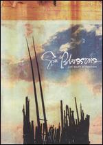 The Gin Blossoms: Just South of Nowhere