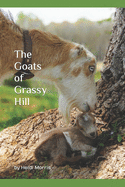 The Goats of Grassy Hill