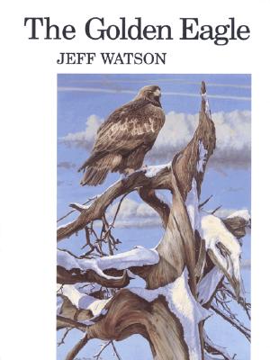 The Golden Eagle - Watson, Jeff