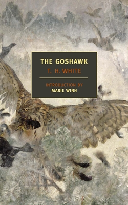 The Goshawk - White, T H, and Winn, Marie (Introduction by)