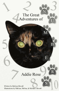 The Great Adventures of Addie Rose Numbers: Numbers