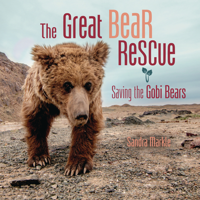 The Great Bear Rescue: Saving the Gobi Bears - Markle, Sandra