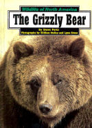The Grizzly Bear