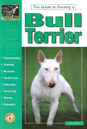 The Guide to Owning a Bull Terrier