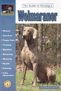 The Guide to Owning a Weimaraner